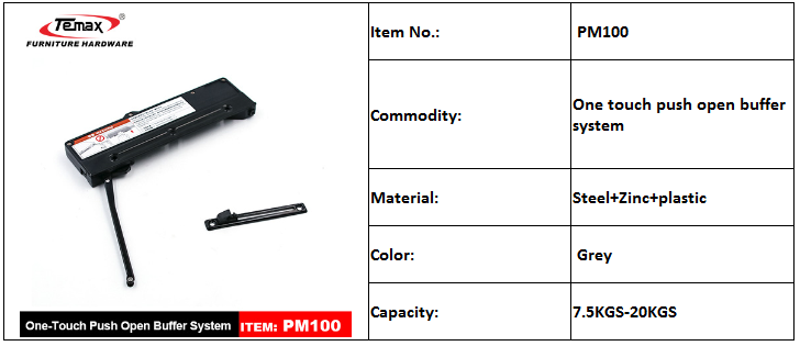 PM100 PM100