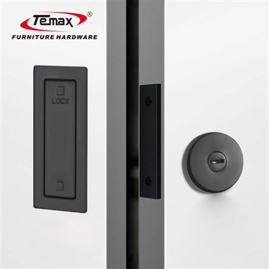 TEMAX Zinc Alloy Embedded Ghost Door Lock X002