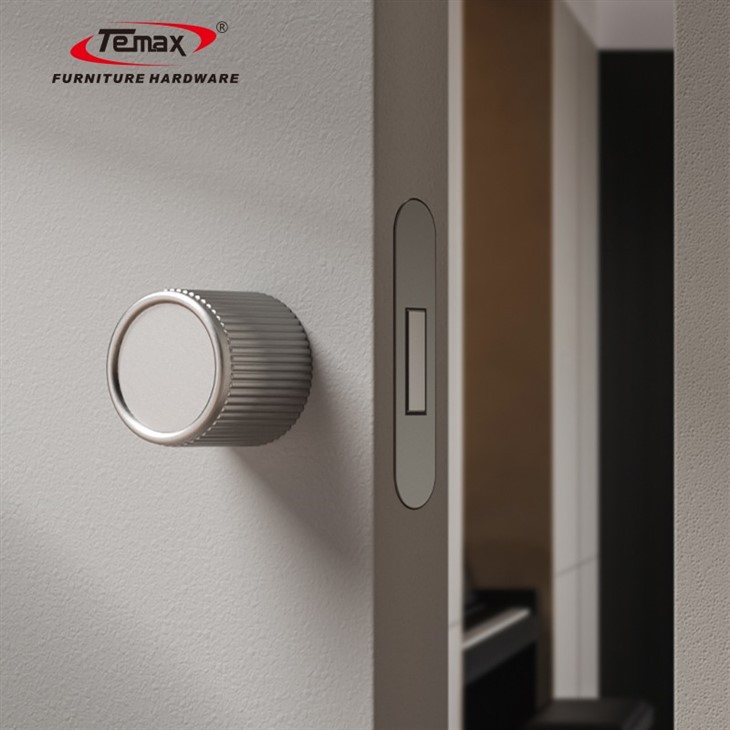 Temax Invisible Door Lock X006 suppliers