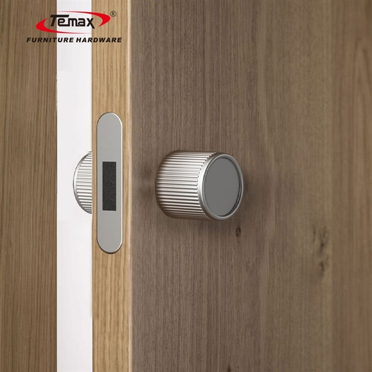 Temax Invisible Door Lock X006 factory